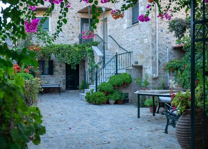 Olga\'S House